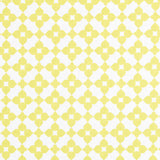 Loneta Lausana Pistacho - Ribes y Casals