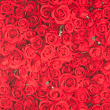 Loneta American Beauty - Ribes y Casals