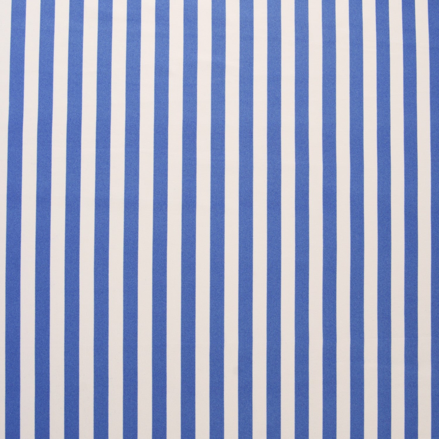 Lycra Baño Bicolor Azul - Ribes y Casals