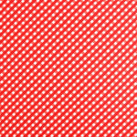 Lycra Baño Cuadros Rojo - Ribes y Casals