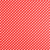 Lycra Baño Cuadros Rojo - Ribes y Casals