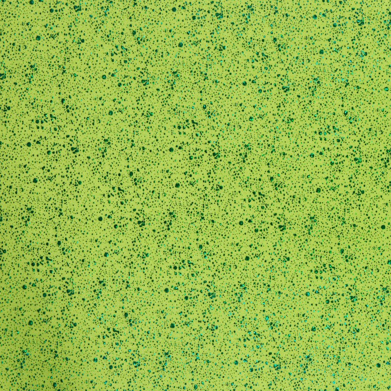 Lycra Estampada Meteoritos Pistacho - Ribes y Casals