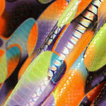 Lycra Fantasía Bubble Naranja - Ribes y Casals