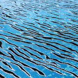 Lycra Hologram Tigre Azul - Ribes y Casals