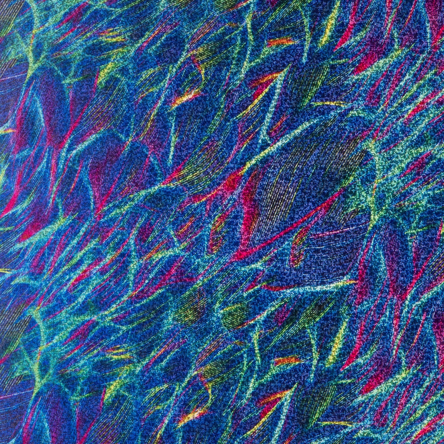 Lycra Holograph Electro - Ribes y Casals