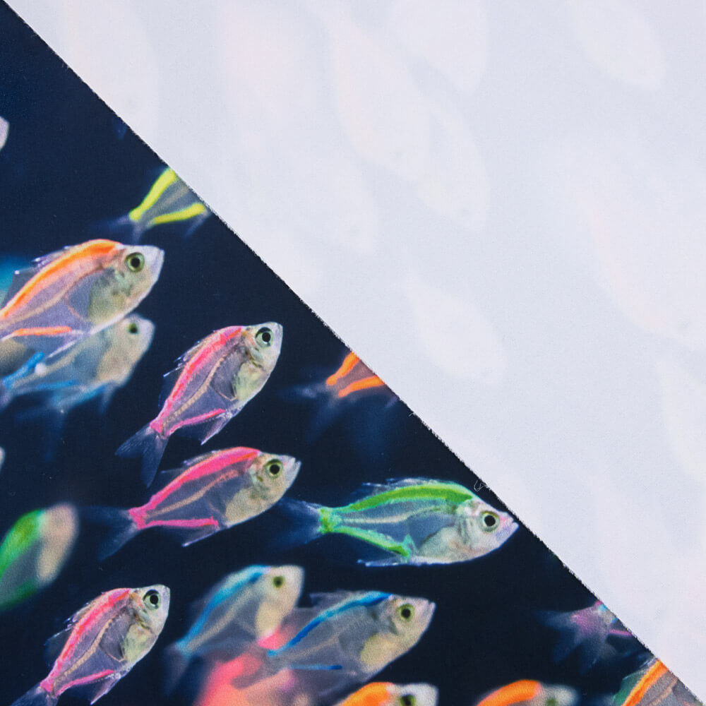 Lycra Baño Peces - Ribes y Casals