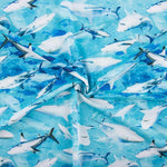 Lycra Baño Tiburón - Ribes y Casals