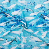 Lycra Baño Tiburón - Ribes y Casals