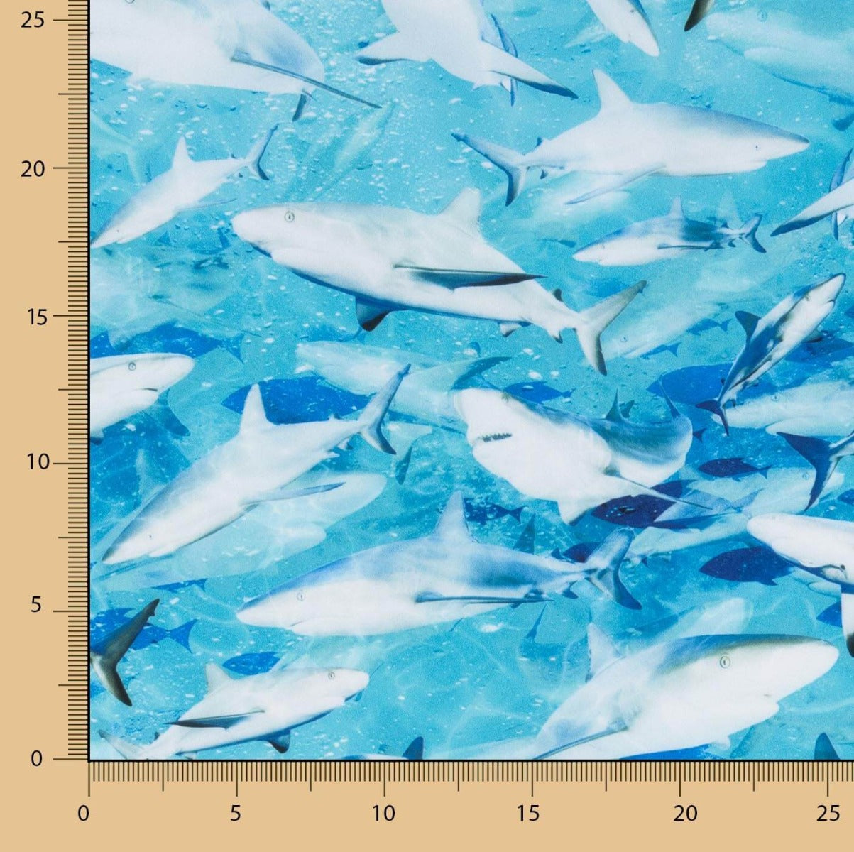 Lycra Baño Tiburón - Ribes y Casals