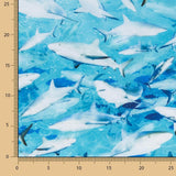 Lycra Baño Tiburón - Ribes y Casals