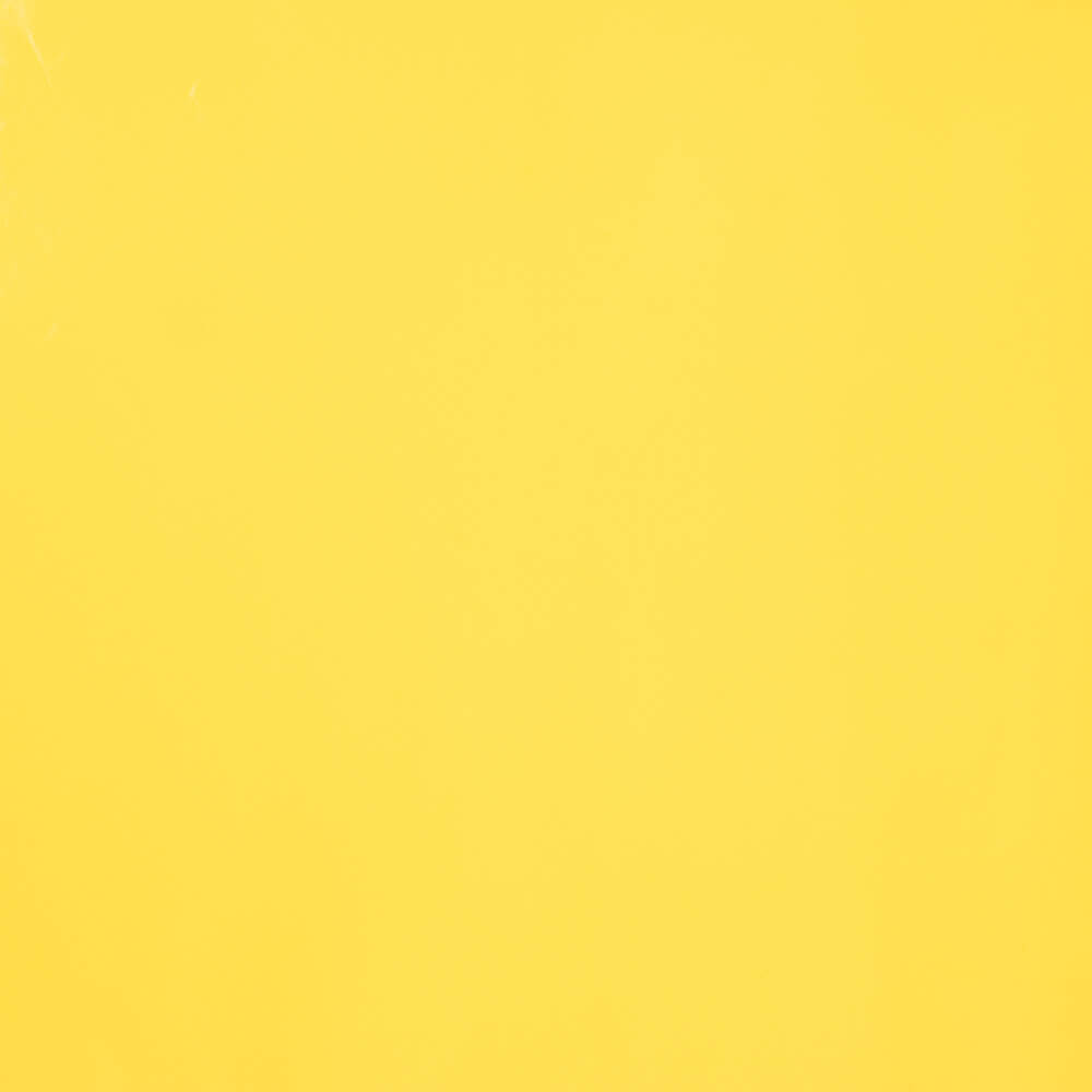 Vinilo Latex Lycra Amarillo - Ribes y Casals