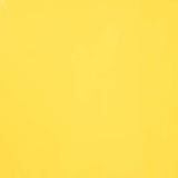 Vinilo Latex Lycra Amarillo - Ribes y Casals