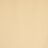 Lycra Corsetería Piel - Ribes y Casals