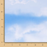 Lycra Estampada Cielo Azul - Ribes y Casals