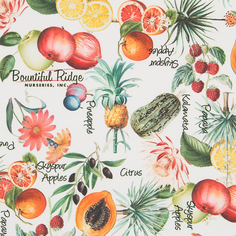 Mantel Citrus Blanca - Ribes y Casals