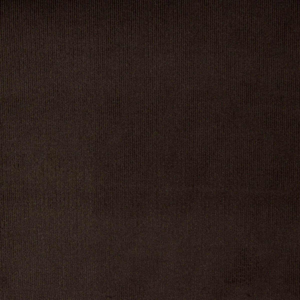 Micropana Algodón Marrón Oscuro - Ribes y Casals