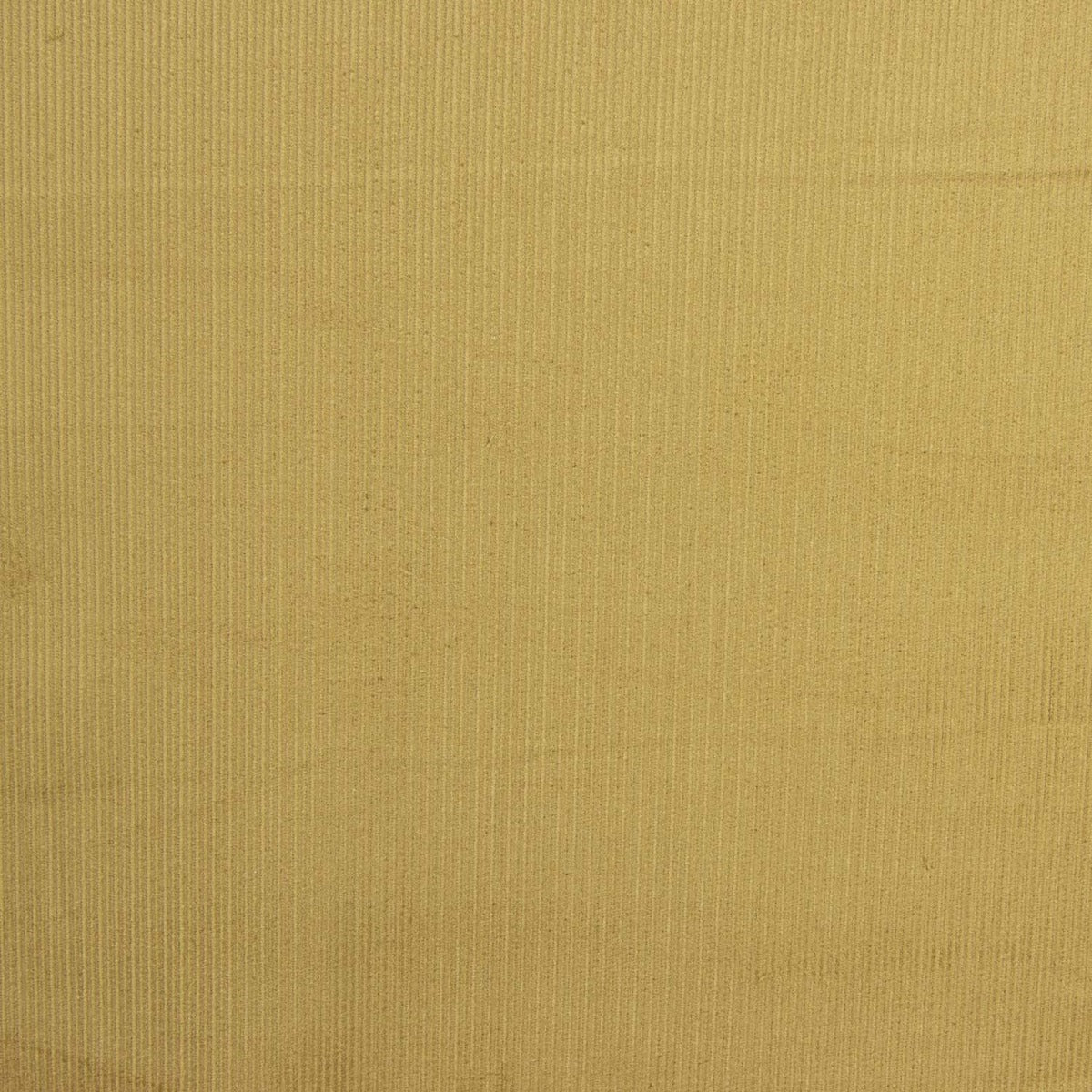 Micropana Fina Camel - Ribes y Casals