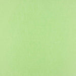 Mikado Poliéster Verde Claro - Ribes y Casals