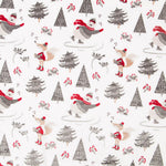 Coralina Estampada Osos Sky - Ribes y Casals