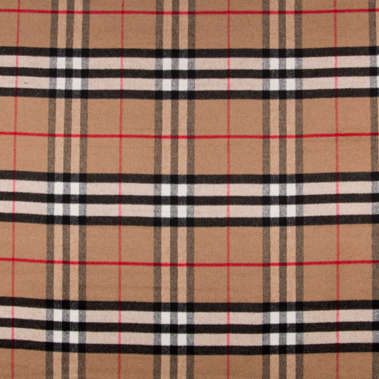 Mouflon Escoces Camel - Ribes y Casals