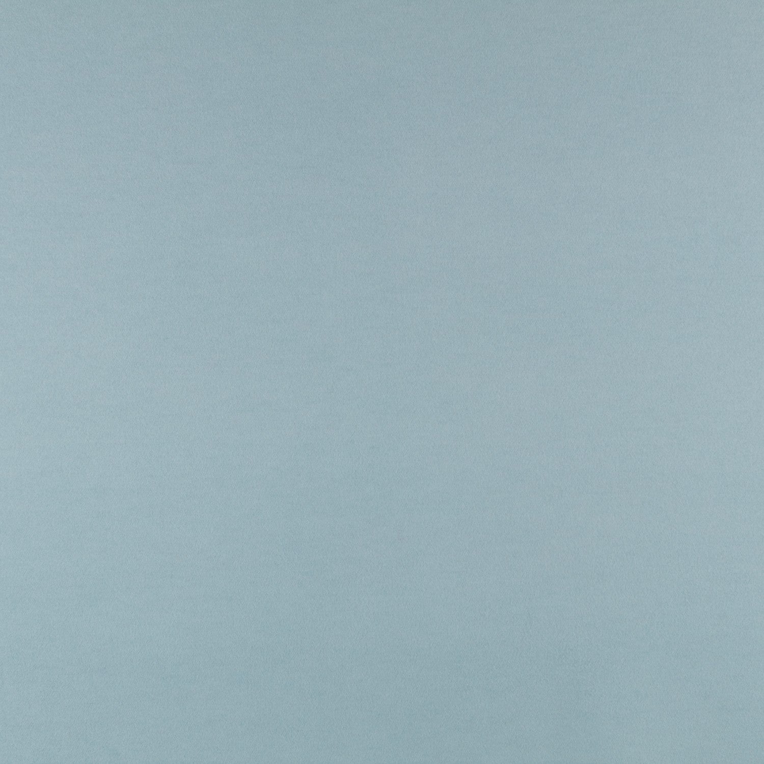 Mouflon Hielo - Ribes y Casals