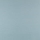 Mouflon Hielo - Ribes y Casals