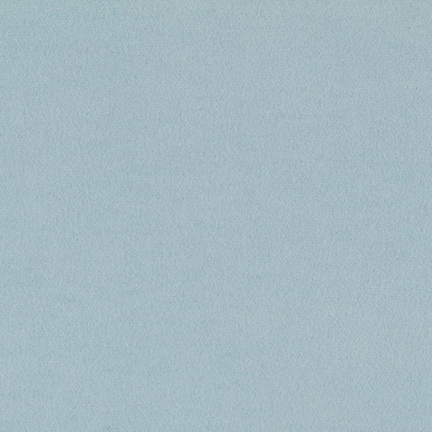 Mouflon Hielo - Ribes y Casals