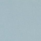 Mouflon Hielo - Ribes y Casals