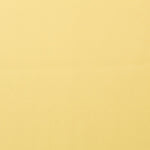 Neopreno Verano Amarillo - Ribes y Casals