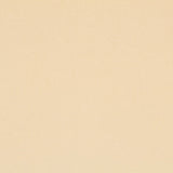 New Terciopelo Elástico Hueso - Ribes y Casals