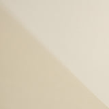 Organdí Poliéster Camel - Ribes y Casals