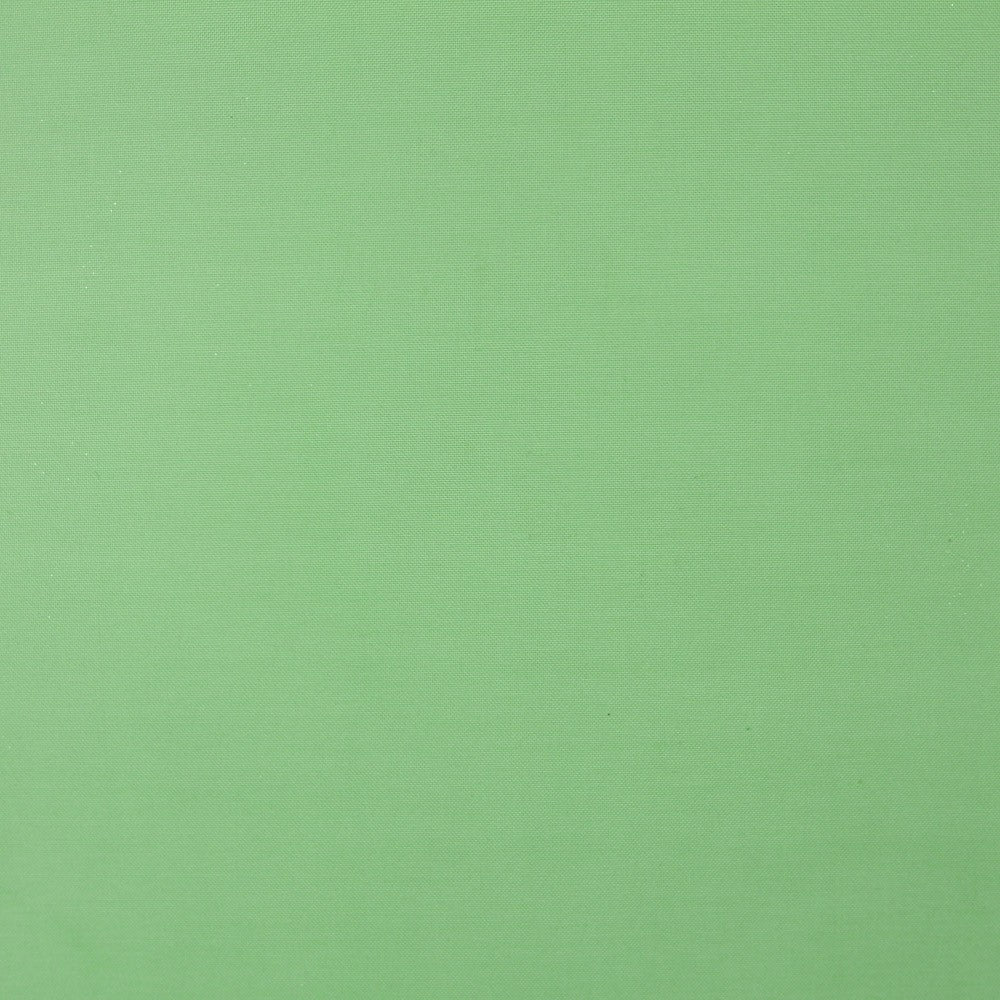 Organdí Poliéster Verde - Ribes y Casals