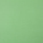 Organdí Poliéster Verde - Ribes y Casals