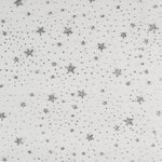 Organza Estrella Blanca Plata - Ribes y Casals