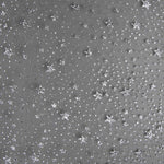 Organza Estrella Negra Plata - Ribes y Casals