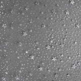 Organza Estrella Negra Plata - Ribes y Casals