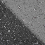 Organza Estrella Negra Plata - Ribes y Casals