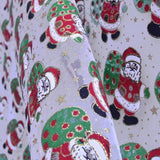 Organza Navidad Papa Noel Blanca - Ribes y Casals