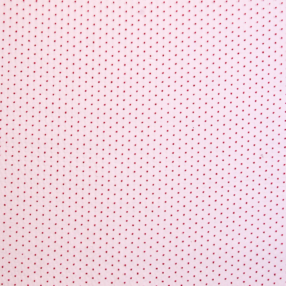 Organza Poliéster Plumeti Rojo - Ribes y Casals