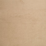 Pana Elástica Beige - Ribes y Casals