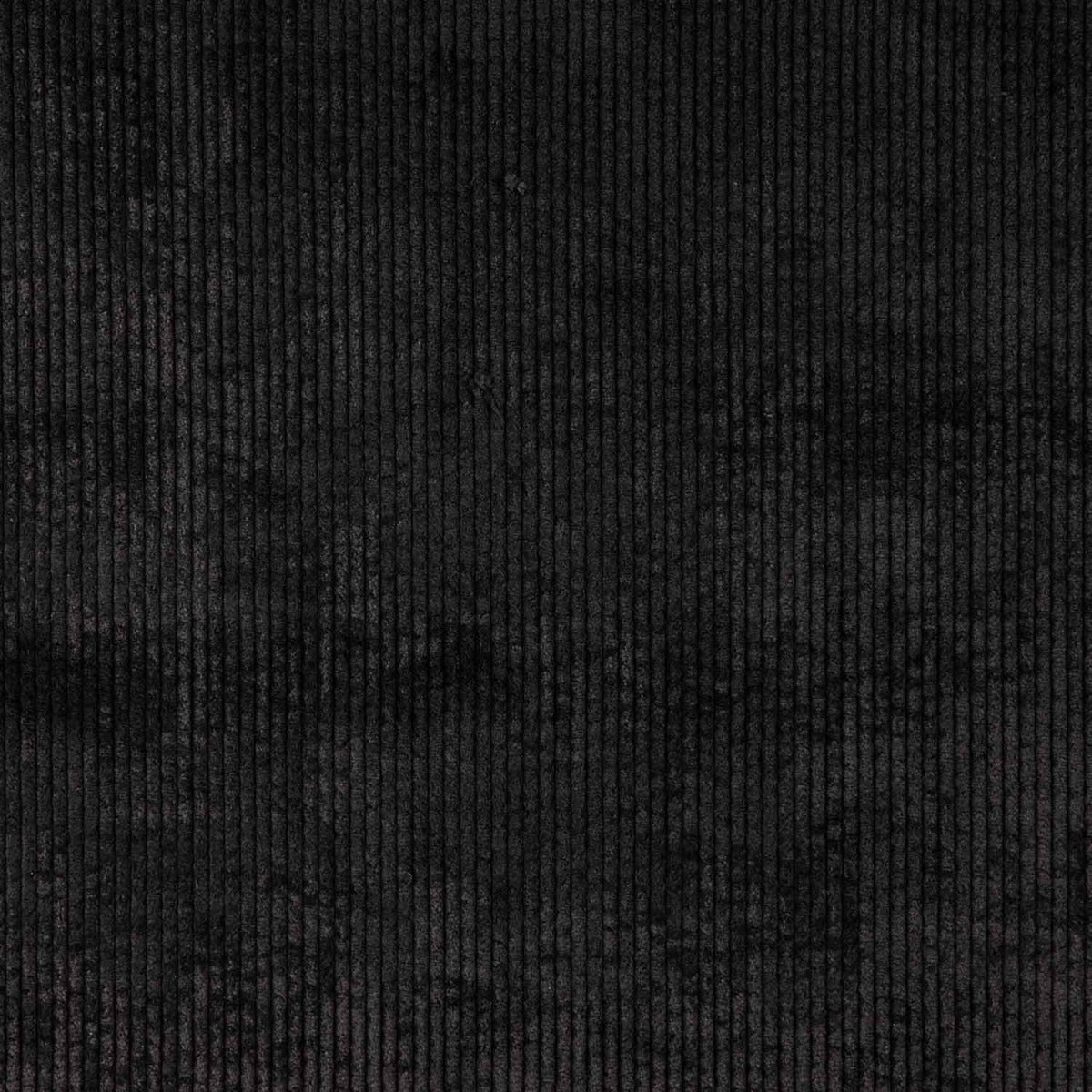 Pana Moda Negro - Ribes y Casals