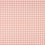 Panamá Hogar Estampado Cuadro Mini Rojo - Ribes y Casals