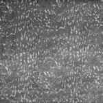 Pelo Corto Animal Gris - Ribes y Casals