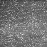 Pelo Corto Animal Gris - Ribes y Casals