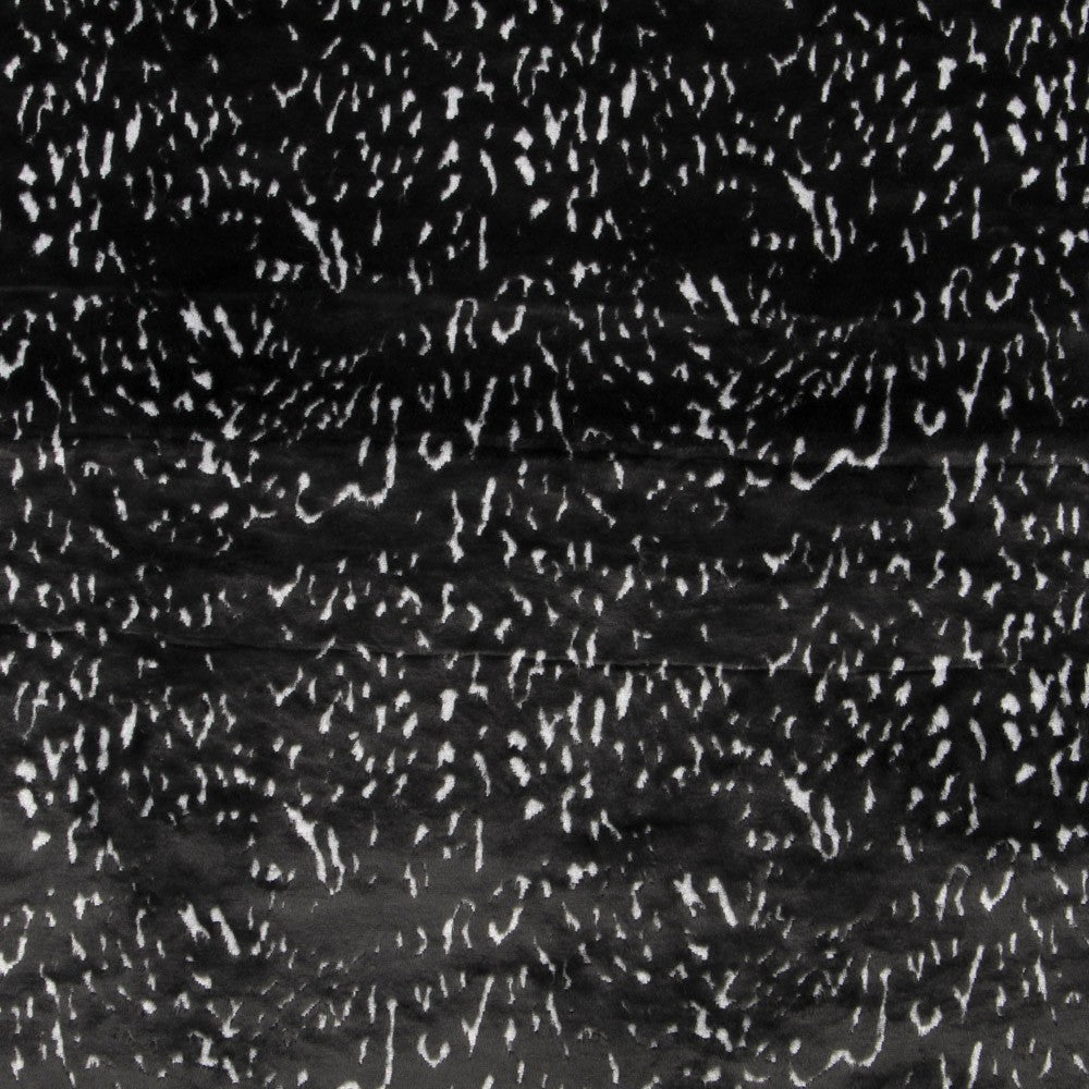 Pelo Corto Animal Negro - Ribes y Casals