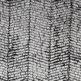 Pelo Corto Fantasía Plata - Ribes y Casals