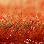 Pelo Metal Cobre - Ribes y Casals