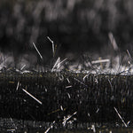 Pelo Metal Negro - Ribes y Casals