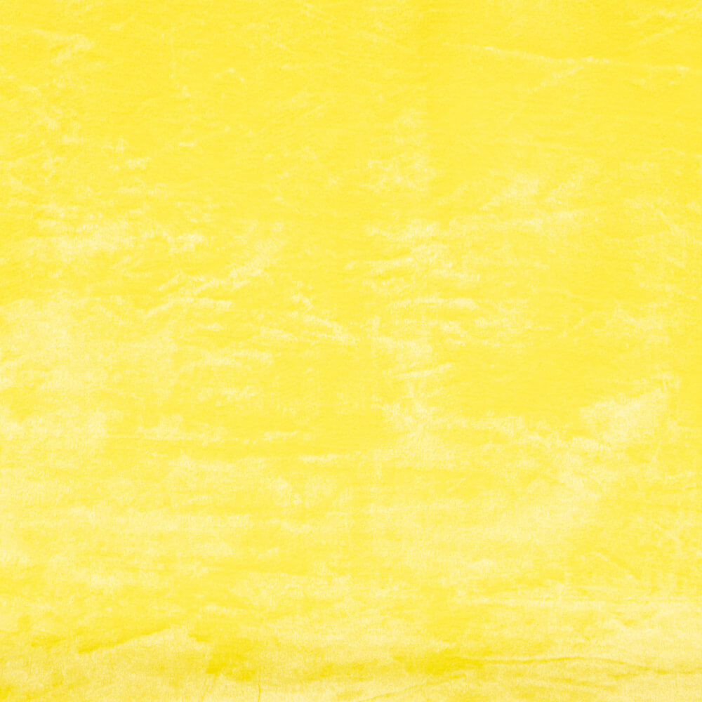 Pelo Corto Amarillo Pollito - Ribes y Casals