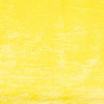 Pelo Corto Amarillo Pollito - Ribes y Casals